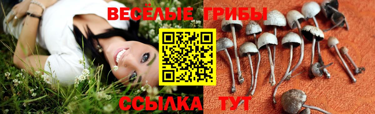 Галлюциногенные грибы MAGIC MUSHROOMS  Вход с VPN  Галлюциногенные грибы мицелий  Мичуринск 