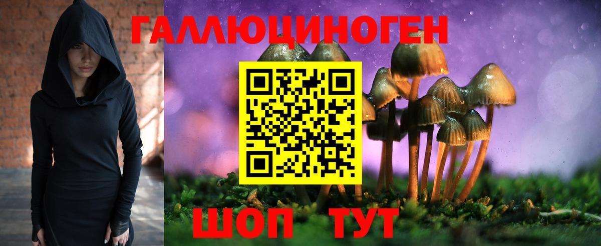 Галлюциногенные грибы мицелий Мичуринск